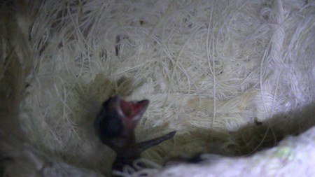 oei waar is iedereen 