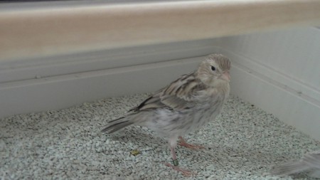 waar ben ik denkt ons arlette