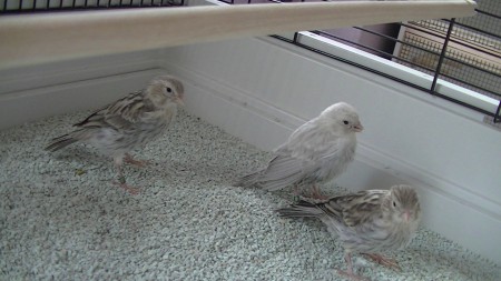 ah  mijn broer axel en zus Alberta zijn er ook 