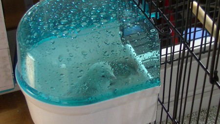 lekker spelen samen in bad 