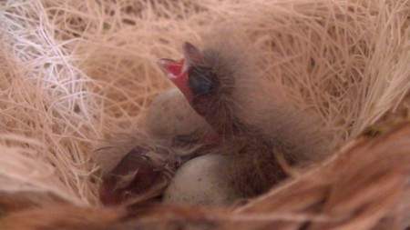 is leuker met zijn 2tjes 