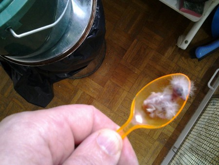 hier is ons dood broertje of zusje.